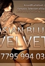 Asian Blue Velvet